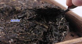 普洱茶品种大全一览表：十大顶级茶品、市场价格与名牌盘点