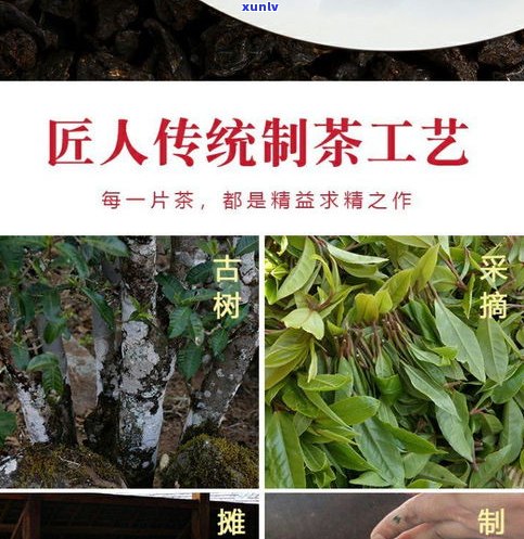 糯香普洱茶养胃吗-糯香普洱茶养胃吗是真的吗