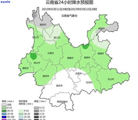 云南文山普洱茶：产区、特色及供应商联系方式全解析