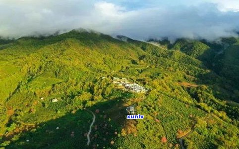 云南普洱宁洱普洱茶山：宁洱县名茶山风景区