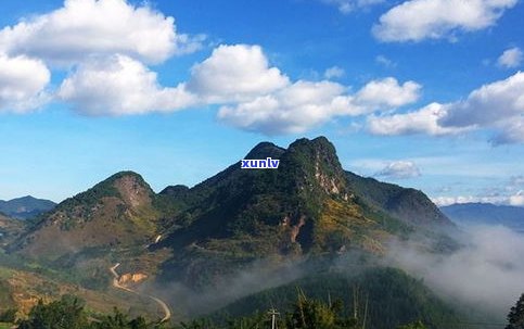 云南普洱宁洱普洱茶山：宁洱县名茶山风景区