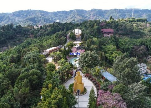 云南普洱宁洱普洱茶山：宁洱县名茶山风景区