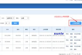 全面解析普洱茶直播间玩法：视频教程与实际操作指南