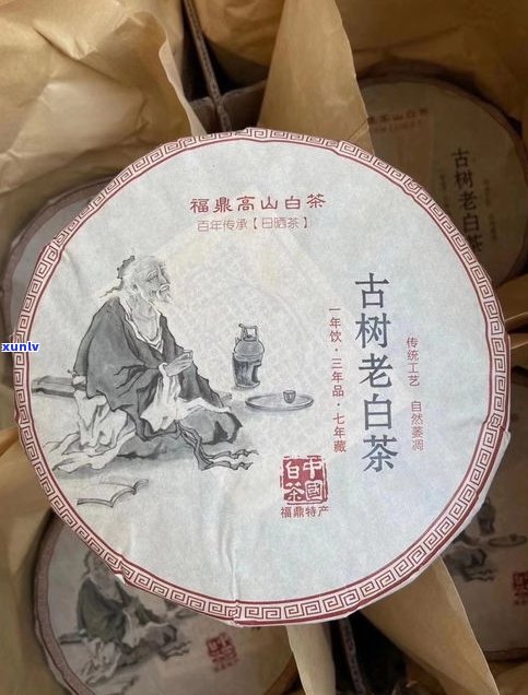 厦门普洱茶生产厂-厦门普洱茶生产厂家