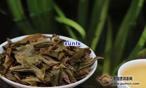 喝普洱茶嘴里有苦味怎么办？原因及解决 *** 全解析！