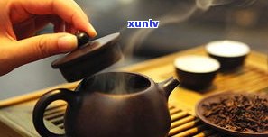 韶华普洱熟茶：价格、品质全解析