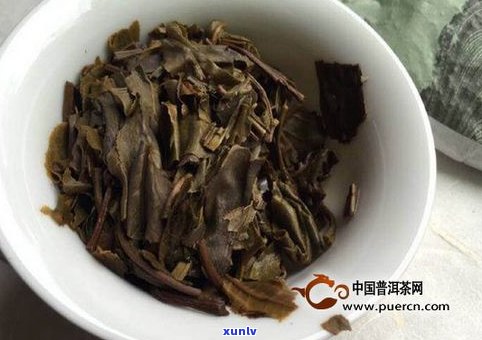 同昌号茶厂：易武野生特级饼及绿水塘介绍，与昌泰对比评价