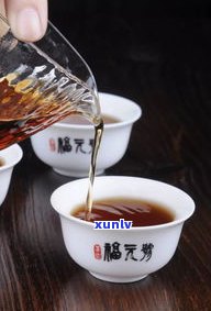 津南熟普洱茶公司 *** 及地址全览，一站式了解天津普洱茶专卖店信息