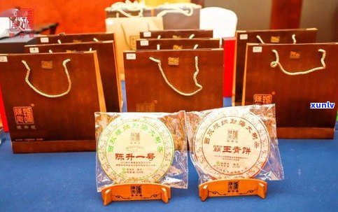 津乔普洱专卖店：百年老树普洱茶，官网热销，位列云南前茅，品质保证