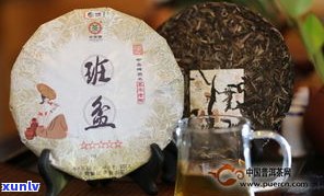 津乔普洱专卖店：百年老树普洱茶，官网热销，位列云南前茅，品质保证