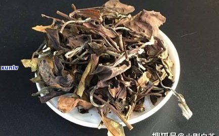 银毫普洱是什么？详解普洱银毫与白茶的区别、原料及品质评价