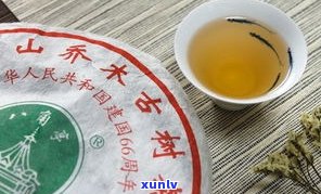 银毫普洱茶的历史-银毫普洱什么意思