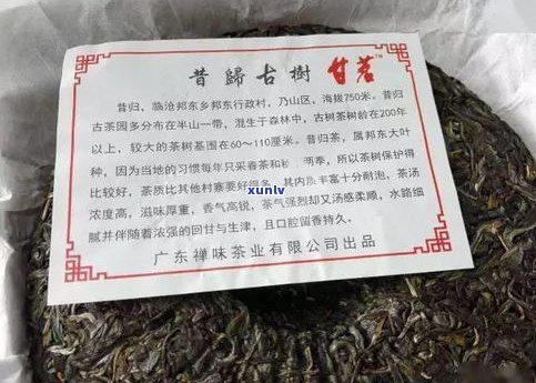 小厂普洱茶：如何选择好品质？探讨大、小厂的区别与优劣