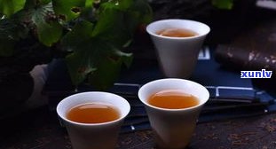 怀孕能否喝普洱茶？专家解析孕期饮茶禁忌与适宜