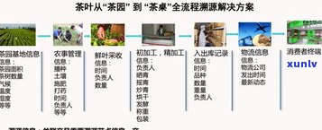 普洱茶短视频： *** 、营销全方位指南