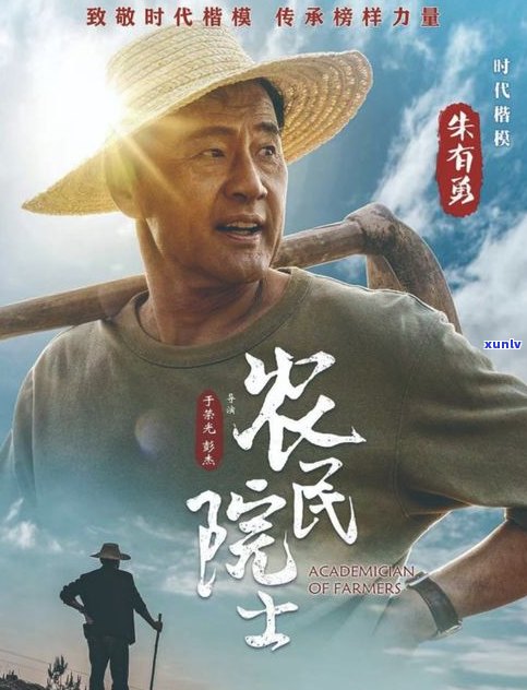 普洱茶宣传片：于荣光主演，背景音乐精选，深度解析云南普洱茶文化