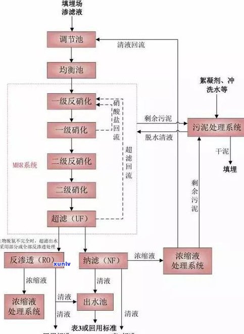 全面解析：玉石原石处理工艺流程、步骤与图片视频全揭秘