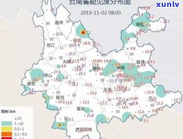 文山普洱茶：特点、产区及评价全解析