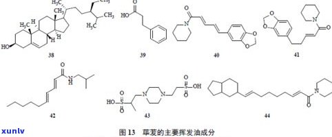 普洱茶对慢性咽喉炎是否有效？相关研究与临床应用探讨