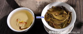 普洱茶是那种荣类-普洱茶属什么类型茶