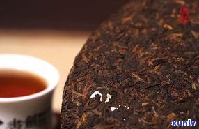 普洱茶的冷门小知识：探索茶叶背后的故事与文化