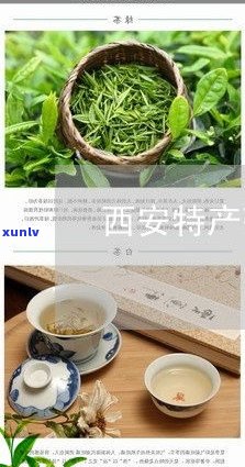 汕尾特产茶：揭秘汕尾独特的茶叶品种和名茶