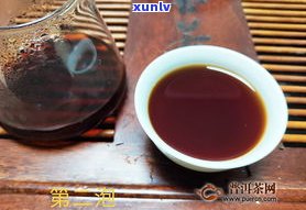 李正海普洱茶：传承大师的专业品鉴指南与饮用技巧