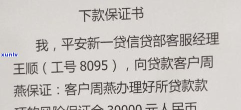 平安新一贷可以协商还款吗-平安新一代把我起诉了怎么办