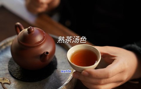 康九林普洱茶价格-康九林普洱茶价格多少