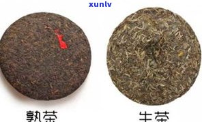 普洱茶是否能转化-普洱茶是否能转化为茶