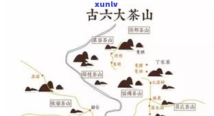 普洱茶是黄山的吗？探究其产地及分类归属