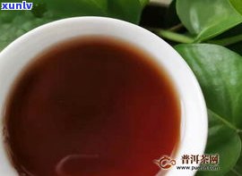 金针普洱茶好不好-金针普洱茶介绍