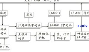 分水岭是什么：定义、位置与意义，以及其命运解析