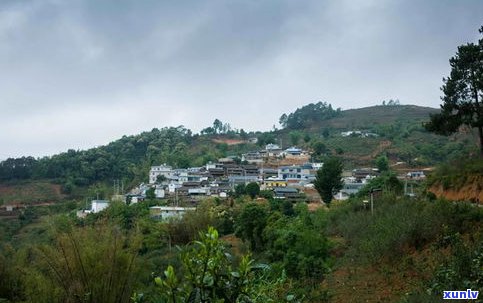 红河分水岭：海拔高度、古树口感及云南、临沧地理位置全解析