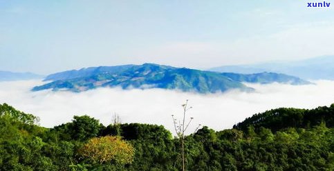 云南分水岭普洱茶-云南分水岭在哪里