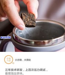 几万一饼的普洱茶：高价与低价的区别是什么？