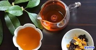 陈皮普洱茶能熬吗-陈皮普洱茶能熬吗怎么熬