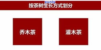 福元普洱茶业有限公司：了解其产品、官网及 *** 信息