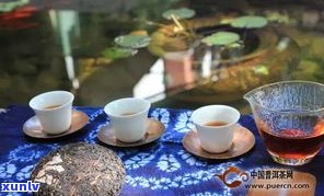 云南福元昌的茶怎么样？全面了解福元昌普洱茶、茶业有限公司与茶厂