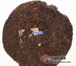 云南福元昌的茶怎么样？全面了解福元昌普洱茶、茶业有限公司与茶厂