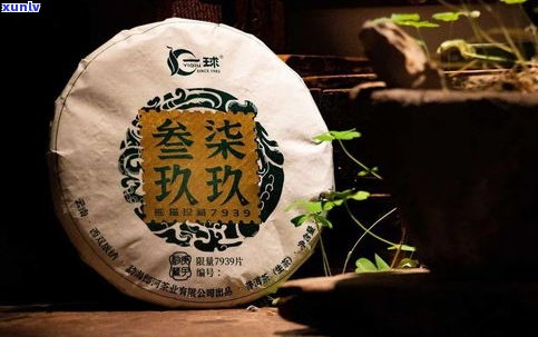 送人普洱茶怎么样-送人普洱茶怎么样比较好