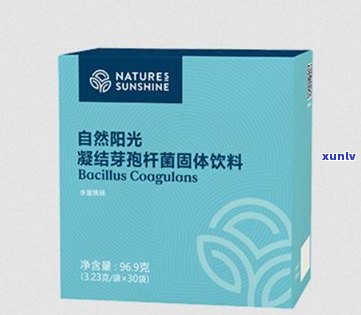 普洱茶含双歧杆菌？了解其是否适合饮用及所含益生菌