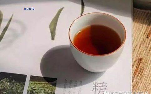 普洱茶薄荷：价格、由来与特点全解析