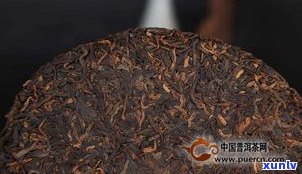 藏茶普洱：知名度高，哪款更好？简介全面解析