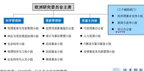 普洱茶源头供应：揭秘供应链联盟与直播间是否售卖正品