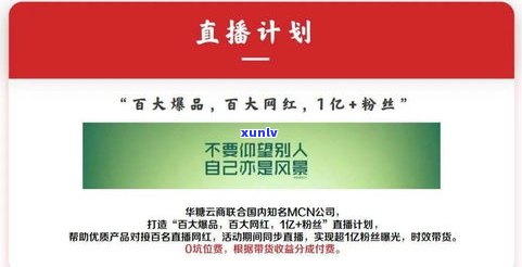 普洱茶源头供应：揭秘供应链联盟与直播间是否售卖正品