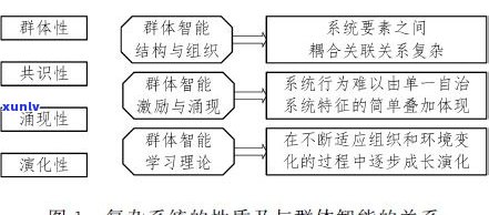 普洱茶源自哪里：探究其起源和发展历程