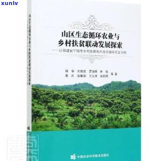 普洱茶源自哪里：探究其起源和发展历程