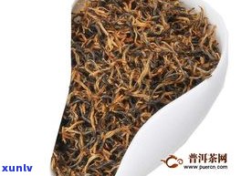 金骏眉与普通红茶：区别与比较