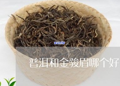 普洱茶金骏眉红茶-金骏眉红茶和普洱哪个好